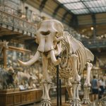 découvrez la grande galerie de l'évolution au muséum national d'histoire naturelle à paris, un voyage fascinant à travers la biodiversité et l'histoire de la vie sur terre.